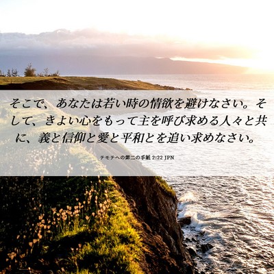 Picture 06 - テモテヘの第二の手紙 2:22 JPN - そこで、あなたは若い時の情欲を避 - Bible Verse Picture