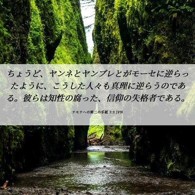 Picture 06 - テモテヘの第二の手紙 3:8 JPN - ちょうど、ヤンネとヤンブレとがモ - Bible Verse Picture