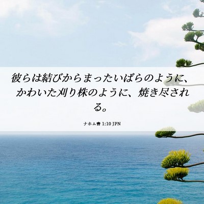 Picture 06 - ナホム書 1:10 JPN - 彼らは結びからまったいばらのよう - Bible Verse Picture