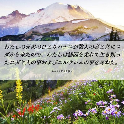 Picture 06 - ネヘミヤ記 1:2 JPN - わたしの兄弟のひとりハナニが数人 - Bible Verse Picture