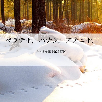 Picture 06 - ネヘミヤ記 10:22 JPN - ペラテヤ、ハナン、アナニヤ、 - Bible Verse Picture