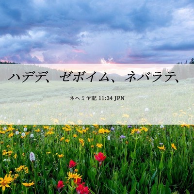 Picture 06 - ネヘミヤ記 11:34 JPN - ハデデ、ゼボイム、ネバラテ、 - Bible Verse Picture