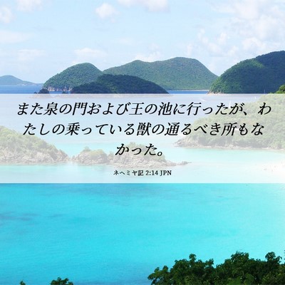 Picture 06 - ネヘミヤ記 2:14 JPN - また泉の門および王の池に行ったが - Bible Verse Picture
