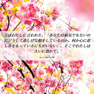 Picture 06 - ネヘミヤ記 2:2 JPN - 王はわたしに言われた、「あなたは - Bible Verse Picture
