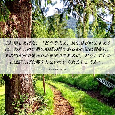 Picture 06 - ネヘミヤ記 2:3 JPN - 王に申しあげた、「どうぞ王よ、長 - Bible Verse Picture