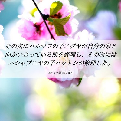Picture 06 - ネヘミヤ記 3:10 JPN - その次にハルマフの子エダヤが自分 - Bible Verse Picture