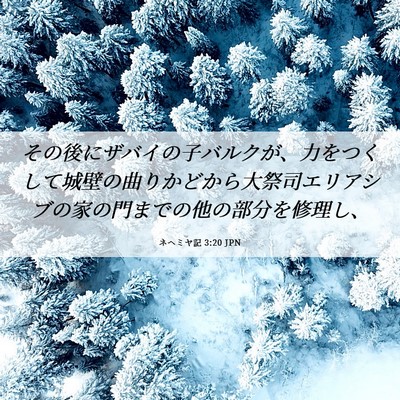 Picture 06 - ネヘミヤ記 3:20 JPN - その後にザバイの子バルクが、力を - Bible Verse Picture