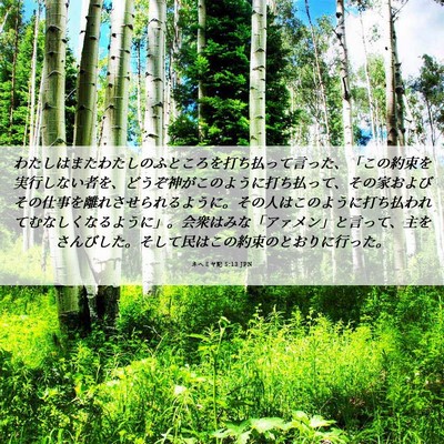 Picture 06 - ネヘミヤ記 5:13 JPN - わたしはまたわたしのふところを打 - Bible Verse Picture