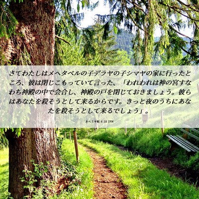 Picture 06 - ネヘミヤ記 6:10 JPN - さてわたしはメヘタベルの子デラヤ - Bible Verse Picture