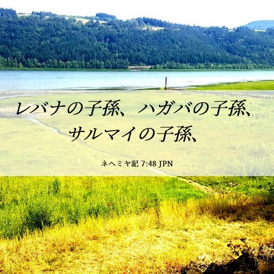 Picture 06 - ネヘミヤ記 7:48 JPN - レバナの子孫、ハガバの子孫、サル - Bible Verse Picture