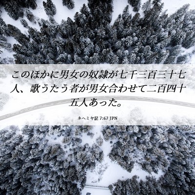 Picture 06 - ネヘミヤ記 7:67 JPN - このほかに男女の奴隷が七千三百三 - Bible Verse Picture