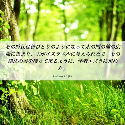 Picture 06 - ネヘミヤ記 8:1 JPN - その時民は皆ひとりのようになって - Bible Verse Picture