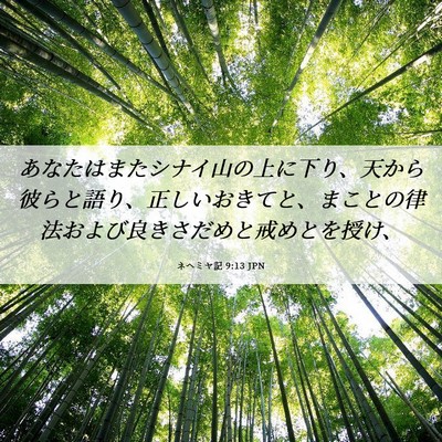 Picture 06 - ネヘミヤ記 9:13 JPN - あなたはまたシナイ山の上に下り、 - Bible Verse Picture