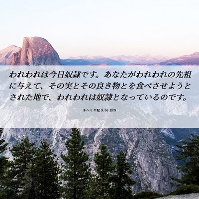 Picture 06 - ネヘミヤ記 9:36 JPN - われわれは今日奴隷です。あなたが - Bible Verse Picture