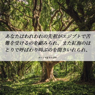 Picture 06 - ネヘミヤ記 9:9 JPN - あなたはわれわれの先祖がエジプト - Bible Verse Picture