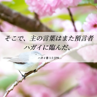 Picture 06 - ハガイ書 1:3 JPN - そこで、主の言葉はまた預言者ハガ - Bible Verse Picture