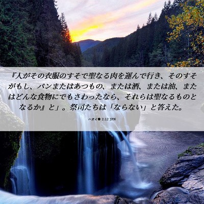 Picture 06 - ハガイ書 2:12 JPN - 『人がその衣服のすそで聖なる肉を - Bible Verse Picture