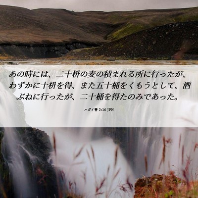 Picture 06 - ハガイ書 2:16 JPN - あの時には、二十枡の麦の積まれる - Bible Verse Picture