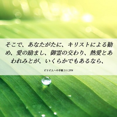 Picture 06 - ピリピ人への手紙 2:1 JPN - そこで、あなたがたに、キリストに - Bible Verse Picture