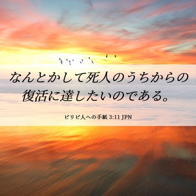 Picture 06 - ピリピ人への手紙 3:11 JPN - なんとかして死人のうちからの復活 - Bible Verse Picture