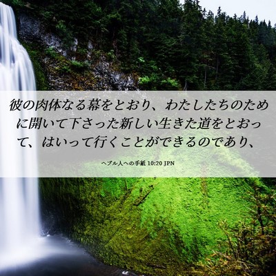 Picture 06 - ヘブル人への手紙 10:20 JPN - 彼の肉体なる幕をとおり、わたした - Bible Verse Picture