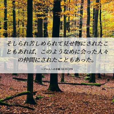 Picture 06 - ヘブル人への手紙 10:33 JPN - そしられ苦しめられて見せ物にされ - Bible Verse Picture