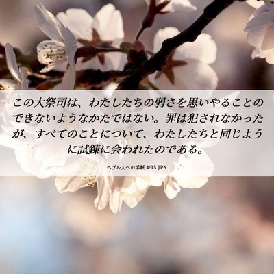Picture 06 - ヘブル人への手紙 4:15 JPN - この大祭司は、わたしたちの弱さを - Bible Verse Picture