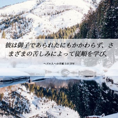 Picture 06 - ヘブル人への手紙 5:8 JPN - 彼は御子であられたにもかかわらず - Bible Verse Picture