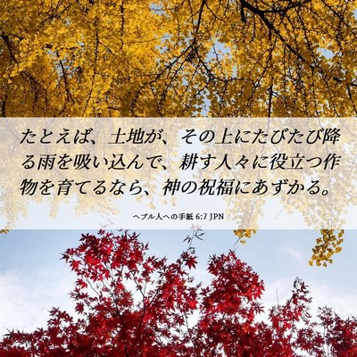 Picture 06 - ヘブル人への手紙 6:7 JPN - たとえば、土地が、その上にたびた - Bible Verse Picture