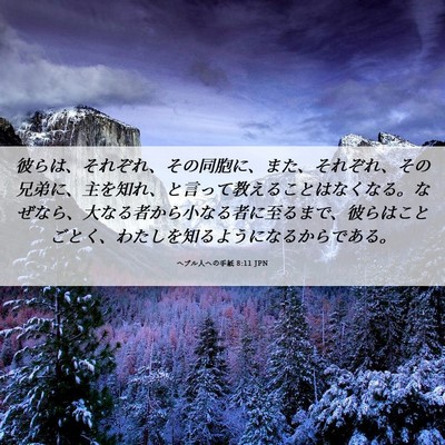Picture 06 - ヘブル人への手紙 8:11 JPN - 彼らは、それぞれ、その同胞に、ま - Bible Verse Picture