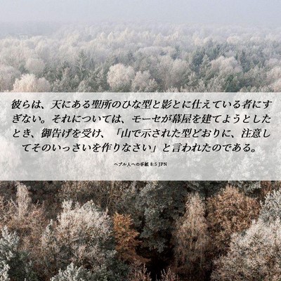 Picture 06 - ヘブル人への手紙 8:5 JPN - 彼らは、天にある聖所のひな型と影 - Bible Verse Picture