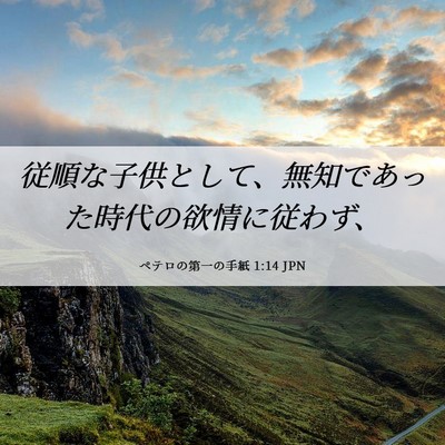 Picture 06 - ペテロの第一の手紙 1:14 JPN - 従順な子供として、無知であった時 - Bible Verse Picture