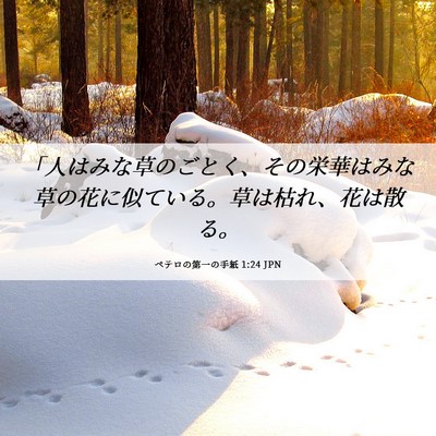 Picture 06 - ペテロの第一の手紙 1:24 JPN - 「人はみな草のごとく、その栄華は - Bible Verse Picture