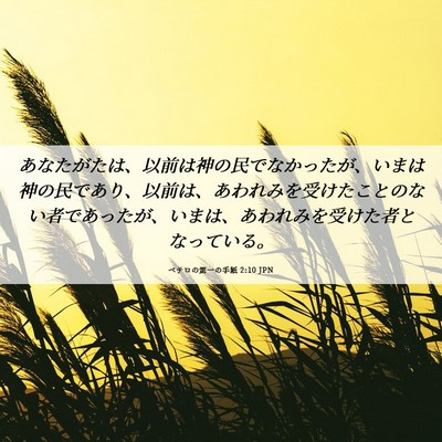 Picture 06 - ペテロの第一の手紙 2:10 JPN - あなたがたは、以前は神の民でなか - Bible Verse Picture