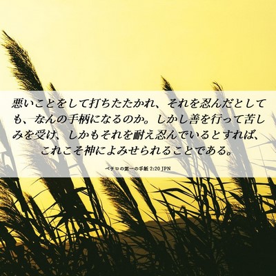 Picture 06 - ペテロの第一の手紙 2:20 JPN - 悪いことをして打ちたたかれ、それ - Bible Verse Picture