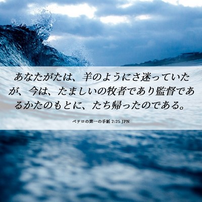 Picture 06 - ペテロの第一の手紙 2:25 JPN - あなたがたは、羊のようにさ迷って - Bible Verse Picture