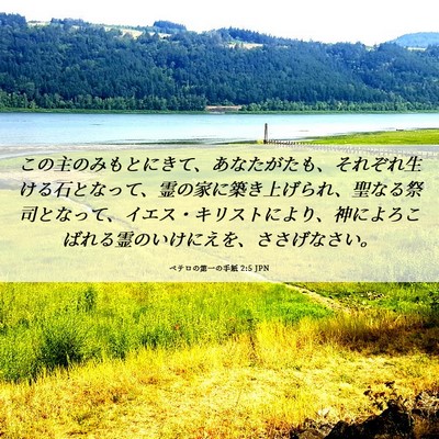 Picture 06 - ペテロの第一の手紙 2:5 JPN - この主のみもとにきて、あなたがた - Bible Verse Picture