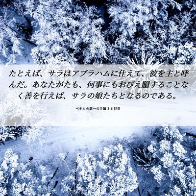 Picture 06 - ペテロの第一の手紙 3:6 JPN - たとえば、サラはアブラハムに仕え - Bible Verse Picture
