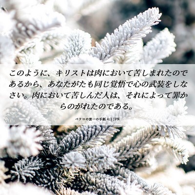 Picture 06 - ペテロの第一の手紙 4:1 JPN - このように、キリストは肉において - Bible Verse Picture