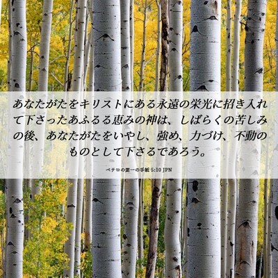 Picture 06 - ペテロの第一の手紙 5:10 JPN - あなたがたをキリストにある永遠の - Bible Verse Picture
