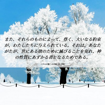 Picture 06 - ペテロの第二の手紙 1:4 JPN - また、それらのものによって、尊く - Bible Verse Picture
