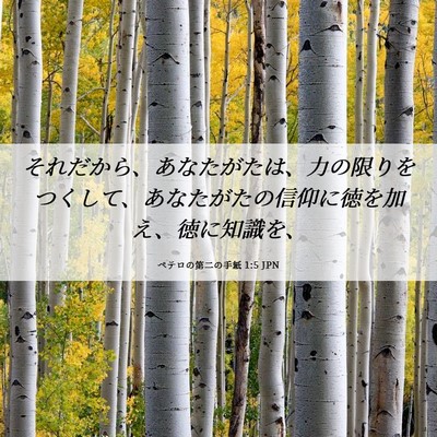Picture 06 - ペテロの第二の手紙 1:5 JPN - それだから、あなたがたは、力の限 - Bible Verse Picture
