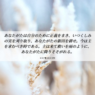 Picture 06 - ホセア書 10:12 JPN - あなたがたは自分のために正義をま - Bible Verse Picture