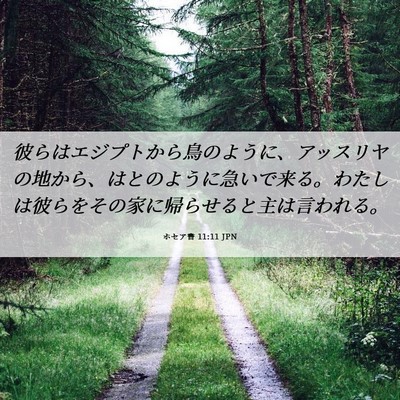 Picture 06 - ホセア書 11:11 JPN - 彼らはエジプトから鳥のように、ア - Bible Verse Picture