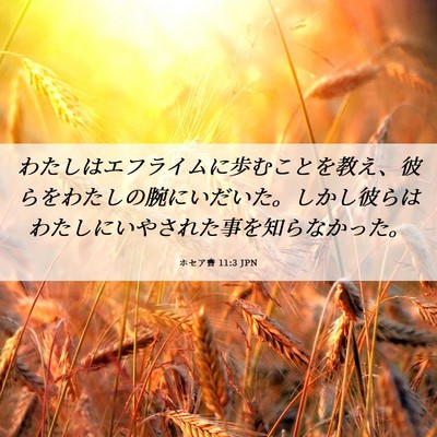 Picture 06 - ホセア書 11:3 JPN - わたしはエフライムに歩むことを教 - Bible Verse Picture