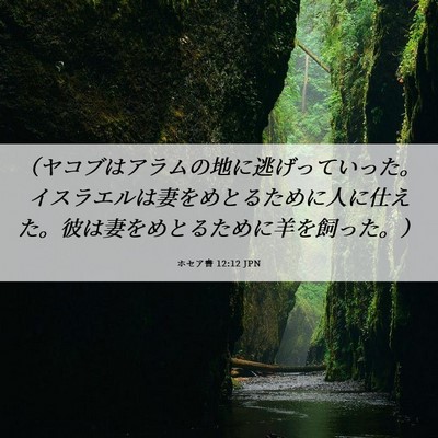 Picture 06 - ホセア書 12:12 JPN - （ヤコブはアラムの地に逃げってい - Bible Verse Picture