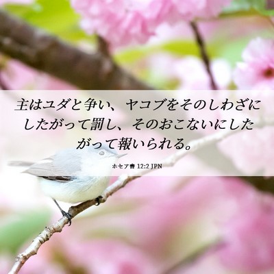 Picture 06 - ホセア書 12:2 JPN - 主はユダと争い、ヤコブをそのしわ - Bible Verse Picture