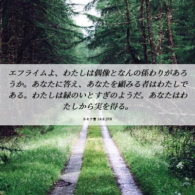 Picture 06 - ホセア書 14:8 JPN - エフライムよ、わたしは偶像となん - Bible Verse Picture