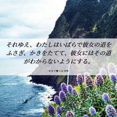 Picture 06 - ホセア書 2:6 JPN - それゆえ、わたしはいばらで彼女の - Bible Verse Picture