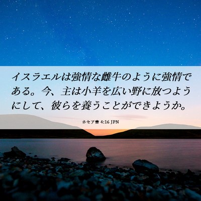 Picture 06 - ホセア書 4:16 JPN - イスラエルは強情な雌牛のように強 - Bible Verse Picture